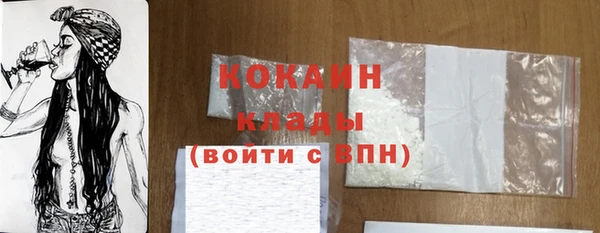 твердый Богданович