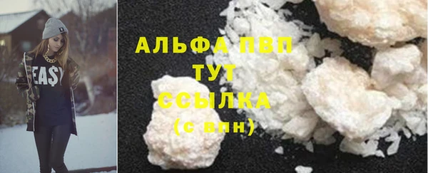 твердый Богданович