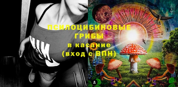 твердый Богданович