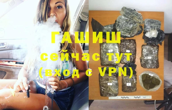 твердый Богданович