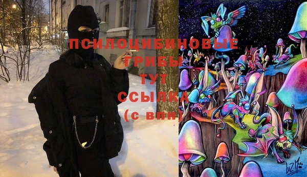 твердый Богданович