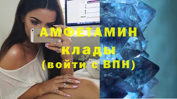твердый Богданович