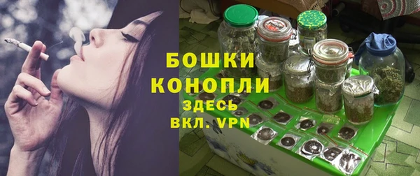 твердый Богданович